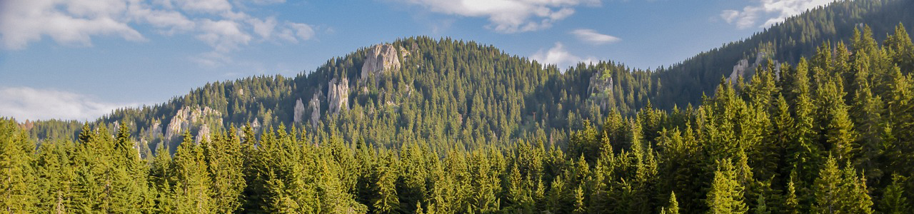 Our Products - Fur Harvesters